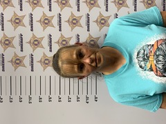 mugshot of AMANDA DIANE WALLACE