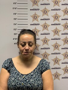 mugshot of DANA ROCHELLE MILAM SLYDELL
