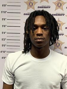 mugshot of RODNEY LEE WHITE