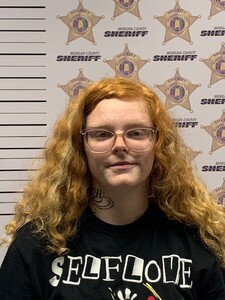 mugshot of TALEAH MARIE TODD