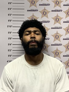 mugshot of ROMANE CHAPELLE PROCTOR