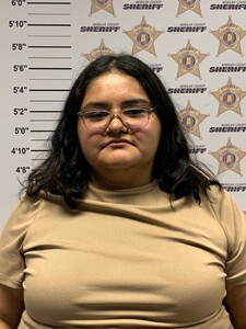 mugshot of ISABEL ZUNIGA VILLASENOR