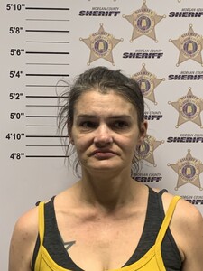 mugshot of BRANDY NECHOLE HERRING