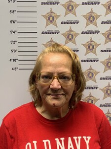 mugshot of TAMMY LYNN GRIFFIOEN