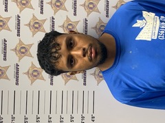 mugshot of KEVIN BEDOLLA MARINO