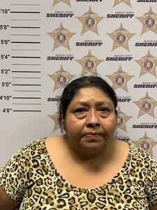 mugshot of PAULA  MARINO-GILES