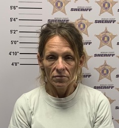 mugshot of AMANDA DARLENE CARPENTER