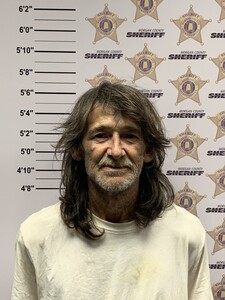 mugshot of MARTY ELLIS WALLS