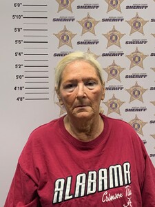 mugshot of SUSAN BENITA PATTERSON