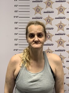 mugshot of LESLIE ANN HAGOOD