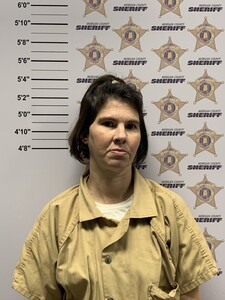 mugshot of HEATHER DENEA KIRBY