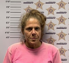 mugshot of ALYSON MARIE SMITH