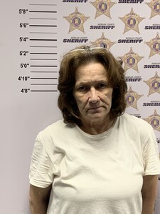 mugshot of VICTORIA LEIGH CHILDRESS LAWSON