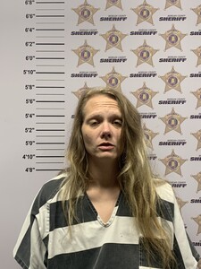 mugshot of ASHLEY NICOLE GATLIN