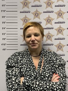 mugshot of MARY ANN LANIER