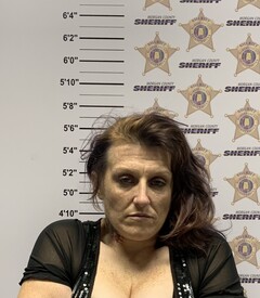 mugshot of TERRI CARINNA BARNETT