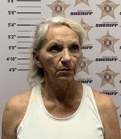 mugshot of MELYNN BURGESS SMITH