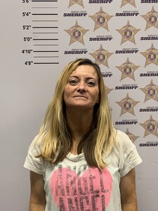 mugshot of DESSIE KAREN JOHNSON