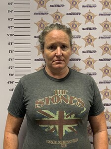 mugshot of MELINDA LEIGH SANDS