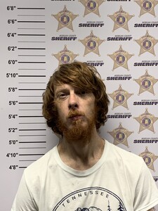 mugshot of WESLEY RYAN NAPPIER