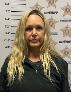 mugshot of TRACY LYNN CHANDLER