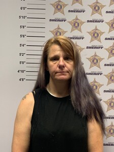 mugshot of HEATHER DEANN WILKE TATUM