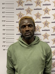 mugshot of MCKINLEY UNK BOLDING