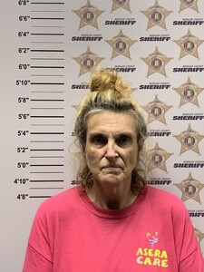 mugshot of SHEILA ANN HENDERSON