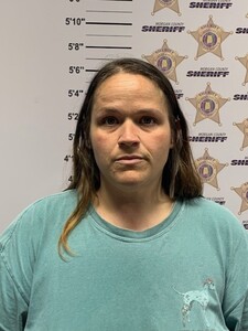 mugshot of CRYSTAL LYNN MINNIS