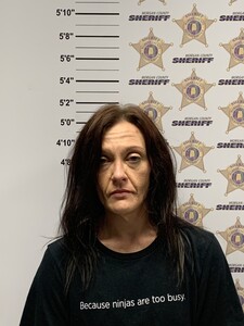 mugshot of MORGAN ASHLEY VINES