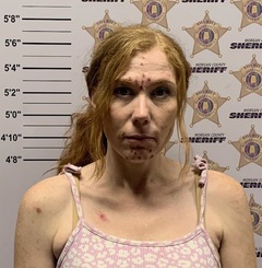 mugshot of BRIDGETT NICOLE TRUSTY