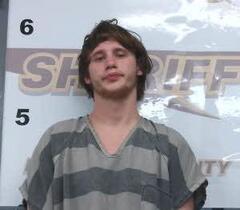 mugshot of DENNIS  CLARK