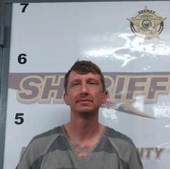 mugshot of MICHAEL  GRILL
