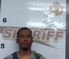 mugshot of THOMAS  FINGY