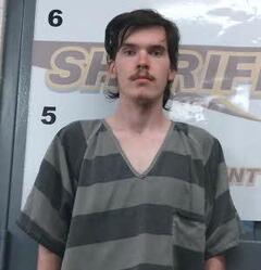 mugshot of DAWSON  NICHOLSON