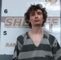 mugshot of KELLY  ALBERSON