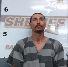 mugshot of SHELTON  LEIJA
