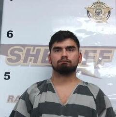 mugshot of TRISTIN  SEEVERS