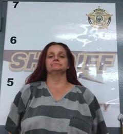 mugshot of BRANDY  SORG