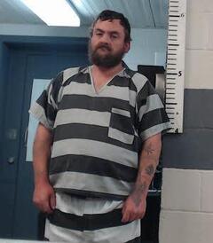 mugshot of WILLIAM  PAULMAN