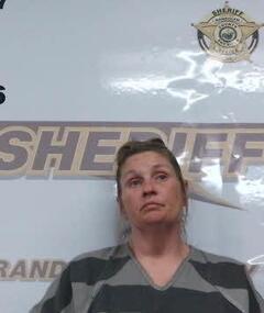 mugshot of AMY  MCGLOTHLIN
