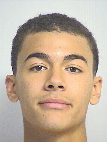 mugshot of Johnson