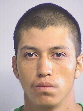 mugshot of Briones Fernandez