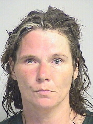 mugshot of Martin