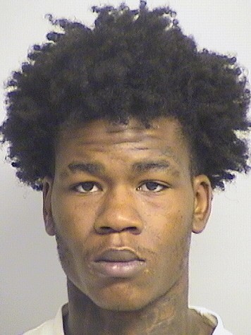 mugshot of Price