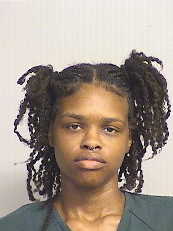 mugshot of Powell Potter